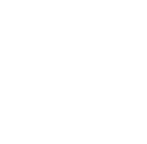 Fast Loading Website Icon