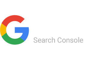 Google searchconsole logo
