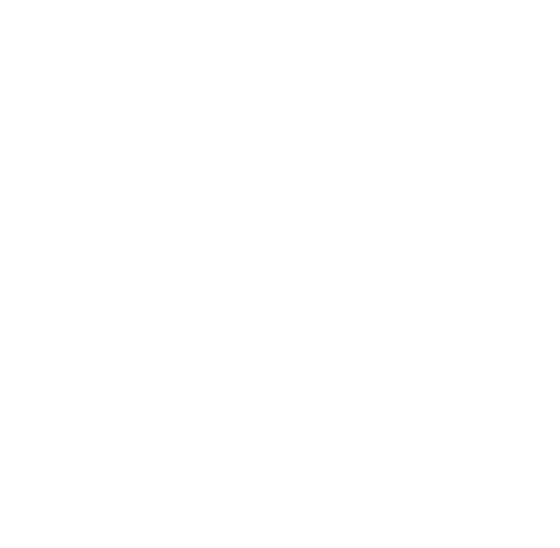 Reputation Management Local SEO Kozlo Digital