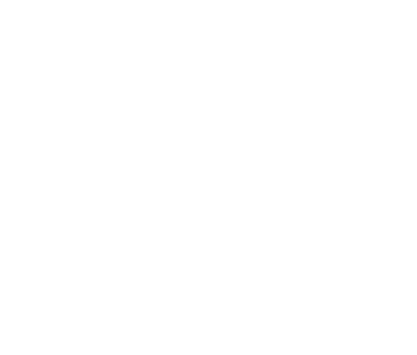 content management icon